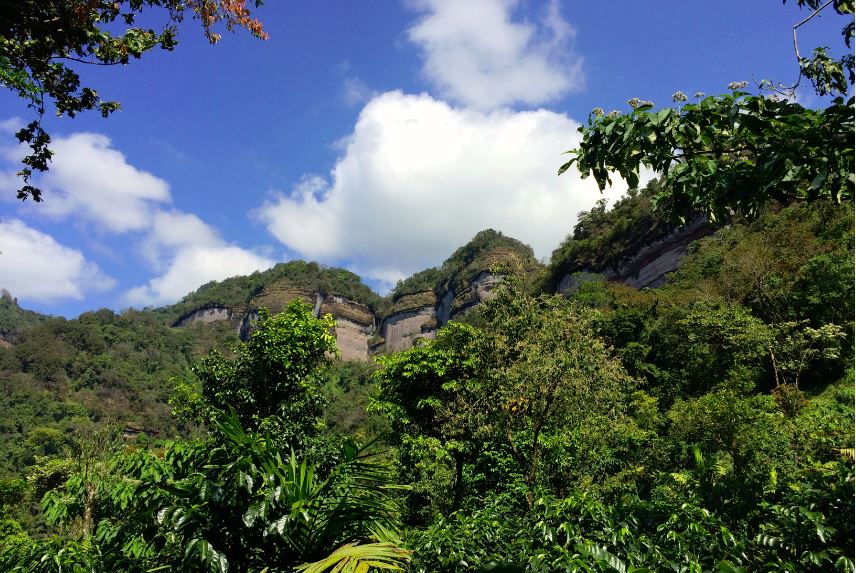 残少【有機栽培】メキシコ チアパス SHG EP