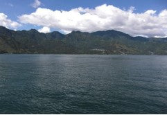 追加(24/25)【有機栽培】グアテマラ SHB アティトラン /ウォッシュト