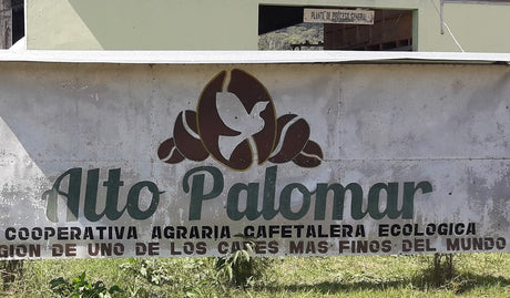 (2月初旬入港)ペルー アルト・パロマールG1/ウォッシュト - オリジンコーヒートレーダーズジャパン