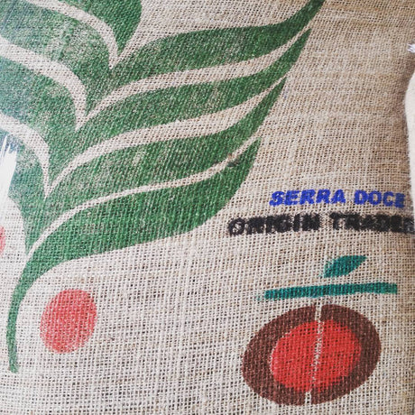 ブラジル  スルデミナス セラドセ "スイートヒル" SSFC NY2/3 SC17/18 / ナチュラル - オリジンコーヒートレーダーズジャパン