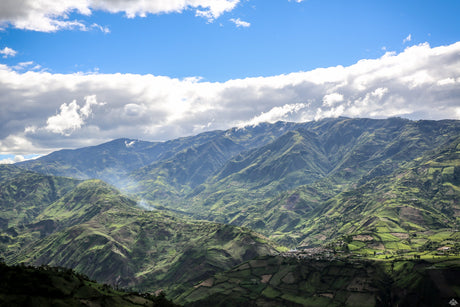 コロンビア サウスウィラ SUP - オリジンコーヒートレーダーズジャパン