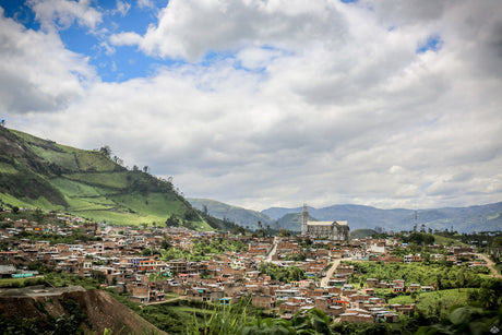 【デカフェ】コロンビア  エル カルメン レッドアソシエーションズ  シュガー - オリジンコーヒートレーダーズジャパン