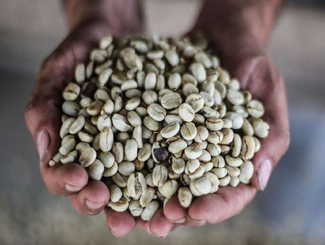 コロンビア サウスウィラ SUP - オリジンコーヒートレーダーズジャパン