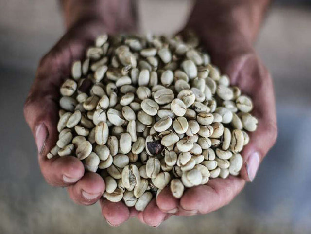 コロンビア サウスウィラ SUP - オリジンコーヒートレーダーズジャパン