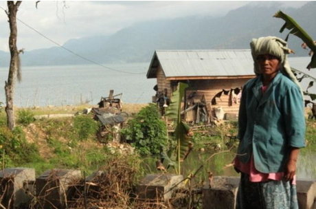 インドネシア ラジャ・ガヨ マンデリンG1レデロン/ダブルピックSC18 - オリジンコーヒートレーダーズジャパン