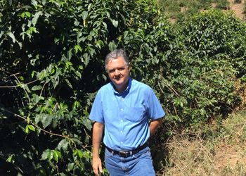 ブラジル  グランハ・サン・フランシスコ/イエローブルボン/ パルプトナチュラル - オリジンコーヒートレーダーズジャパン