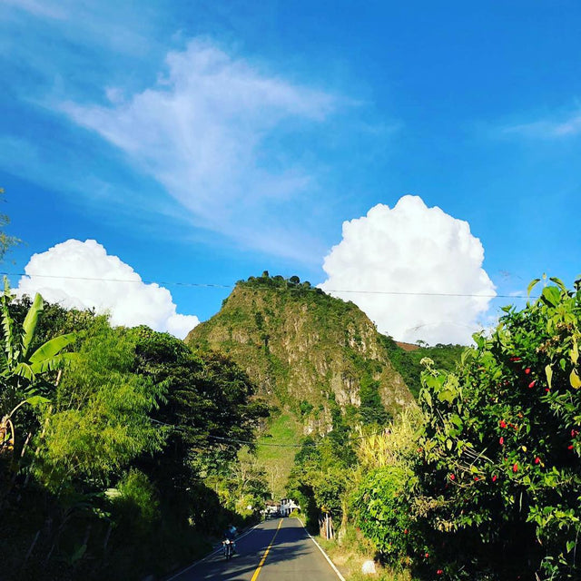 グアテマラ サンタロッサ SHB EP / ウォッシュト - オリジンコーヒートレーダーズジャパン