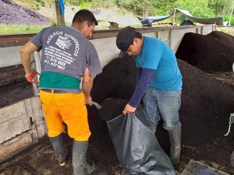 (2月初旬入港)ペルー アルト・パロマールG1/ウォッシュト - オリジンコーヒートレーダーズジャパン