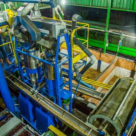 (10月初旬入港)ニカラグア サンタリタ農園SHB EP / ウォッシュト - オリジンコーヒートレーダーズジャパン