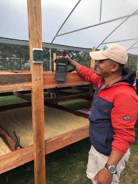 (10月初旬入港)ニカラグア サンタリタ農園SHB EP / ウォッシュト - オリジンコーヒートレーダーズジャパン