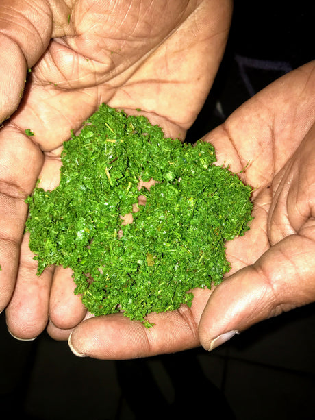 (9末入港)インド ティアショラ茶園 FOP アールグレイ - オリジンコーヒートレーダーズジャパン