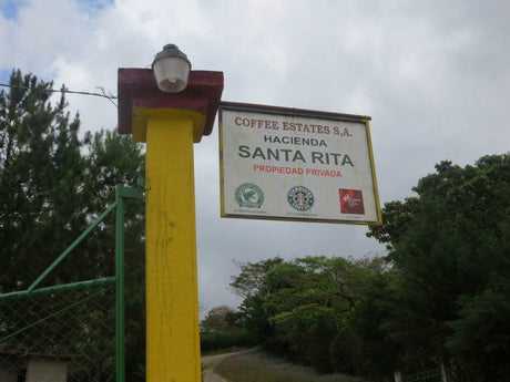 (10月初旬入港）ニカラグア サンタリタ農園SHB EP / ウォッシュト - オリジンコーヒートレーダーズジャパン